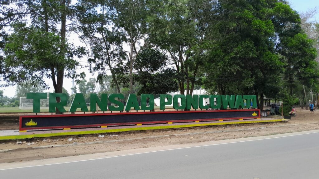 whatsapp image 2025 11 09 at 12.00.13